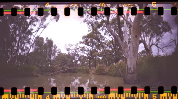 Sprocket  8