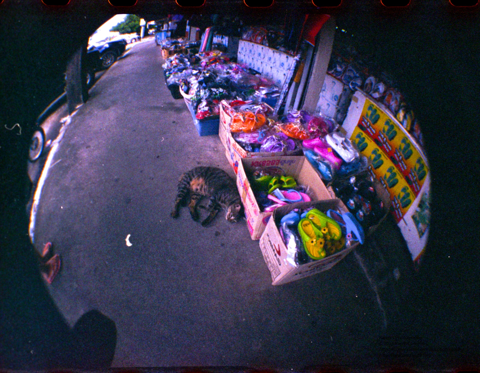 Week 38 #project52 Fisheye in Phuket markets
